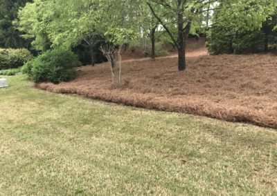 Plants and Pine Straw By Cumming Lawn Service