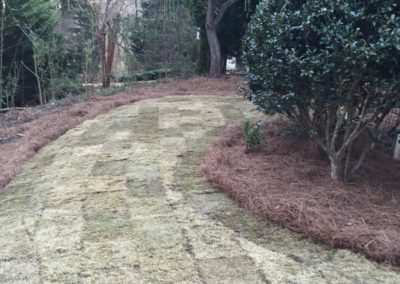 Sod Planted By Cumming Lawn Service