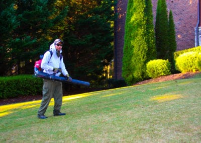 keep your lawn clear of debris and leaves