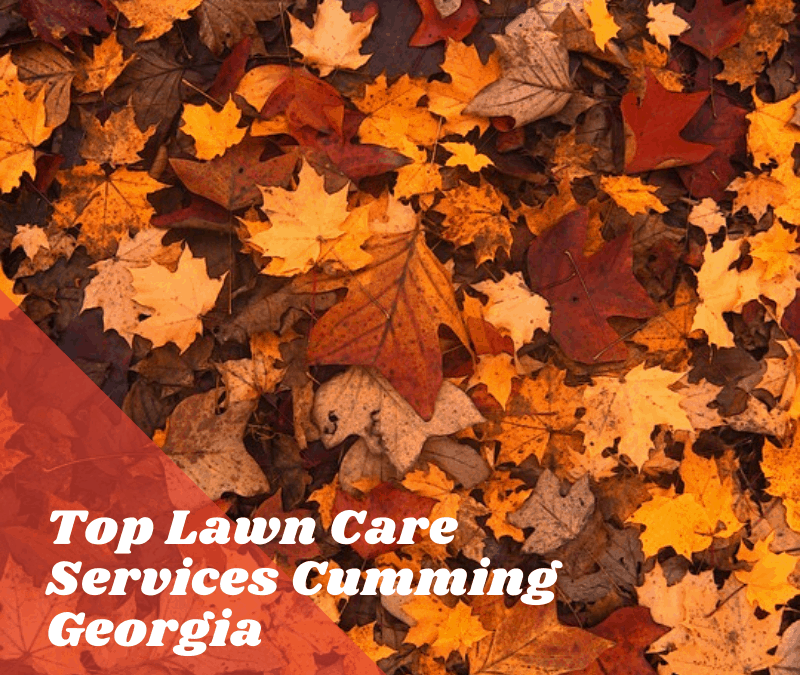 Best Lawn Care Services Cumming Georgia