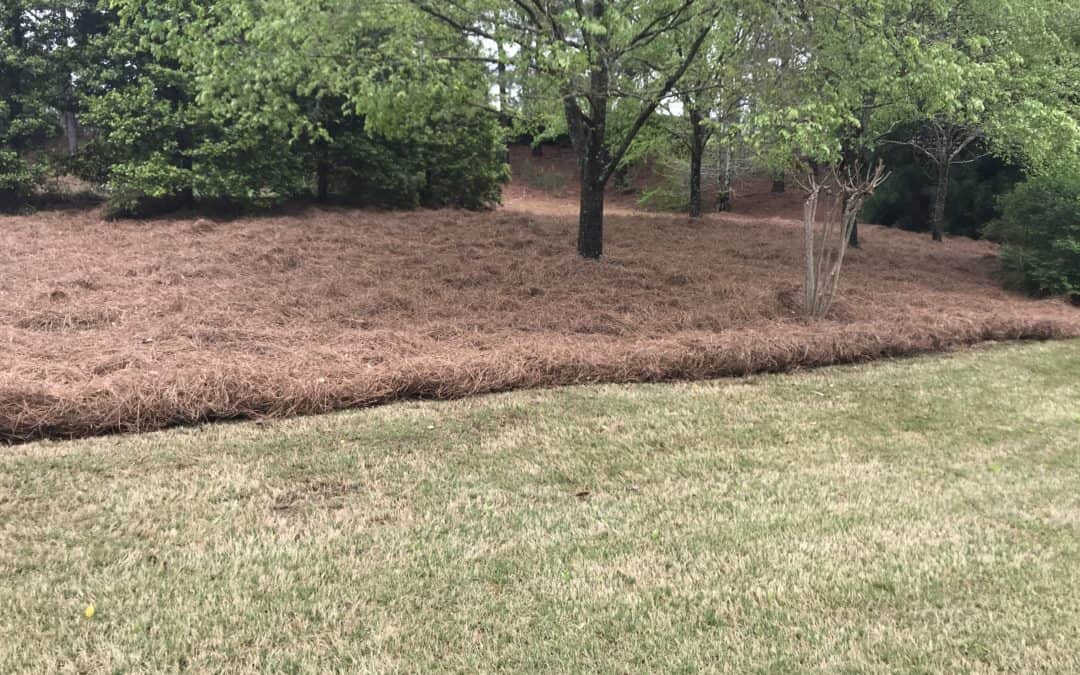 how to lay pinestraw in flower bed