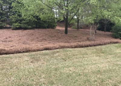 how to lay pinestraw in flower bed