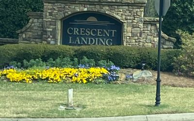 Landscaping Crescent Landing Cumming