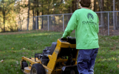 How much does lawn service cost?