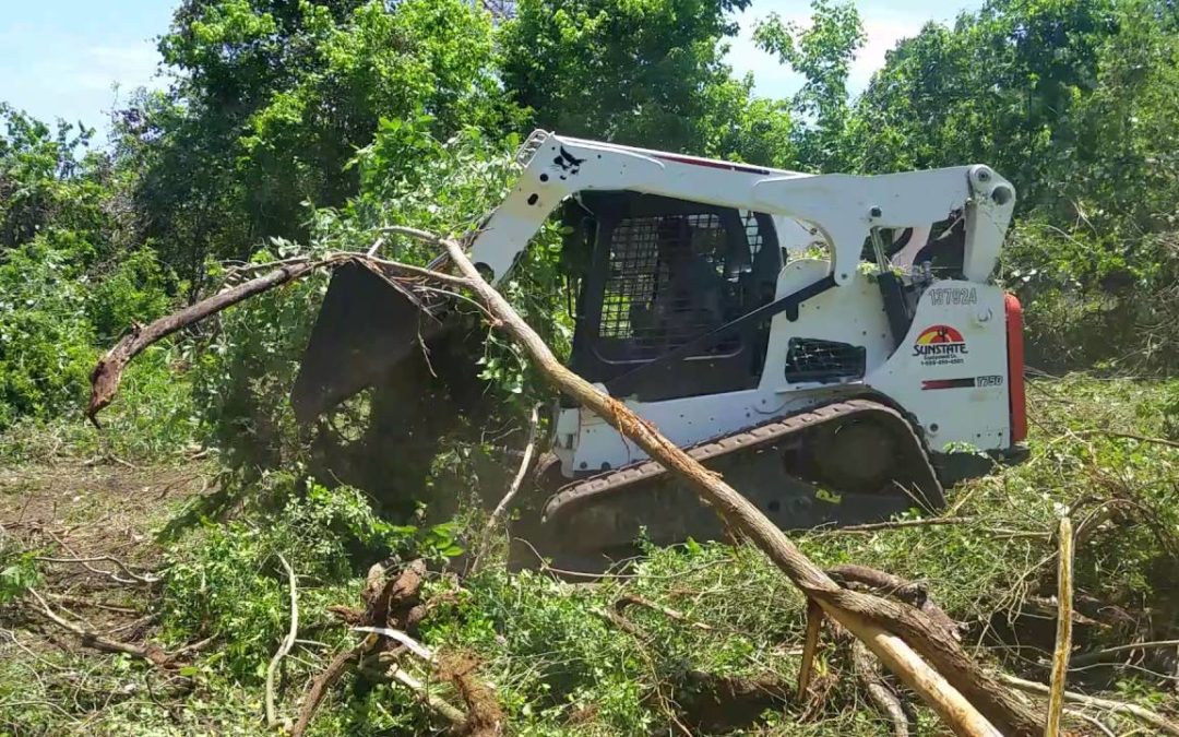Land Clearing with a Skid Steer