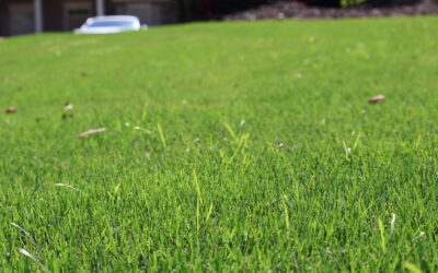 Top 5 Lawn Mowing Companies in Forsyth County Cumming Georgia