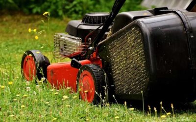 Lawn Mowers: A Guide to Choosing the Right One