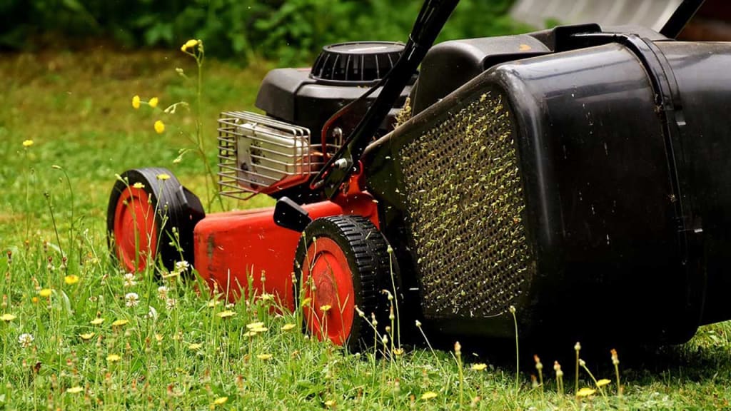 Lawn Mowers: A Guide to Choosing the Right One